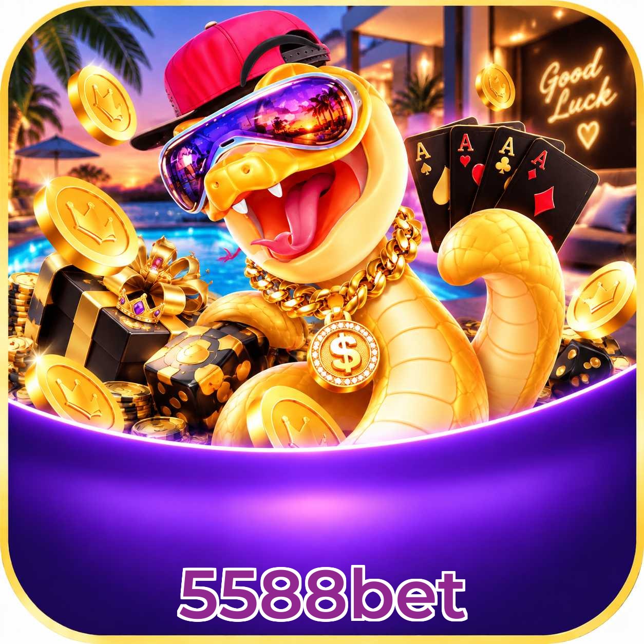 5588bet Bet Odds Analysis