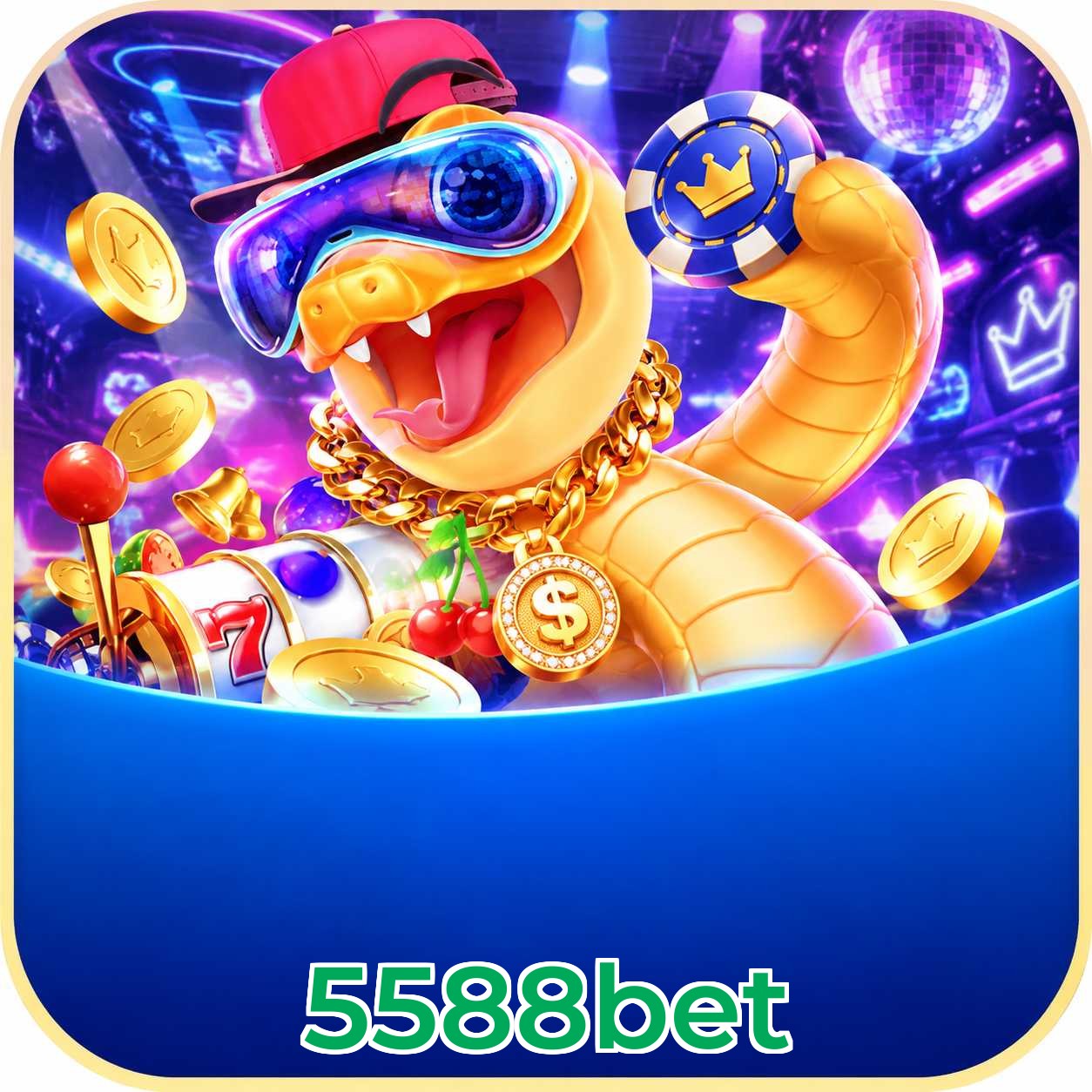 5588bet Streaming Quality